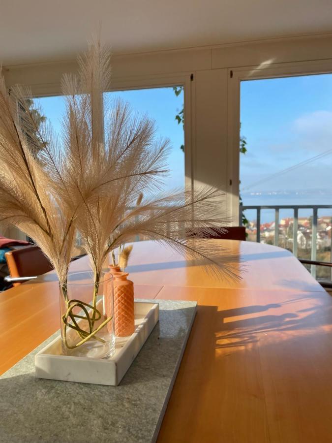 Villa Mit Traumhaftem Blick Uber Den Bodensee Bregenz Exterior photo